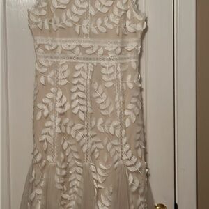 Birdy Grey Cream Lace Detail Dress